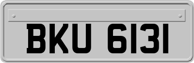 BKU6131