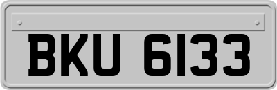 BKU6133