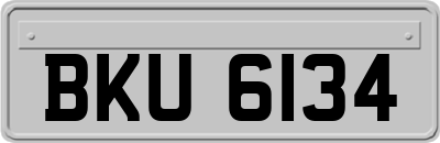 BKU6134