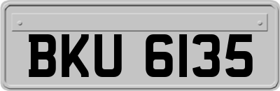 BKU6135