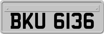 BKU6136