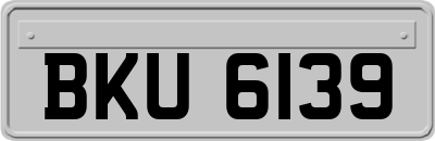 BKU6139