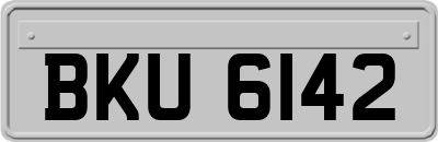 BKU6142