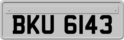 BKU6143