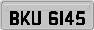 BKU6145