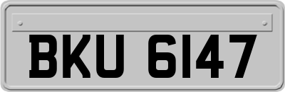 BKU6147