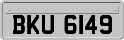 BKU6149