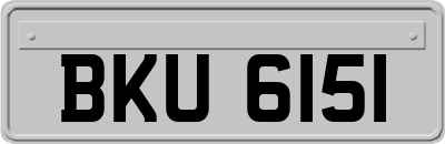 BKU6151