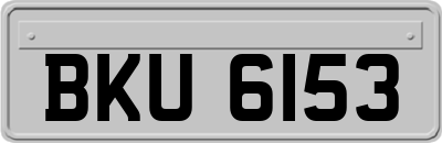 BKU6153
