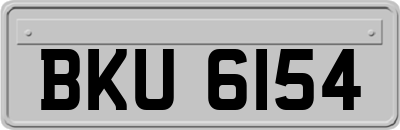BKU6154