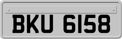 BKU6158
