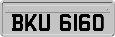 BKU6160