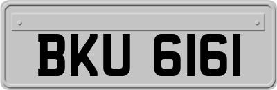 BKU6161