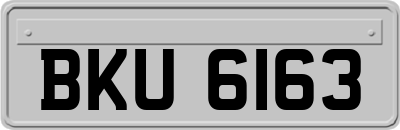 BKU6163
