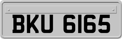 BKU6165