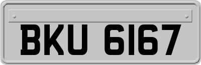 BKU6167