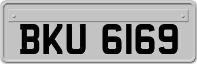 BKU6169