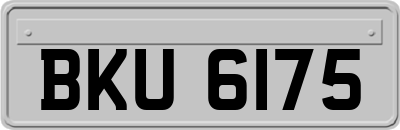 BKU6175