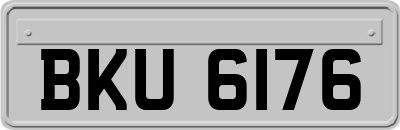 BKU6176