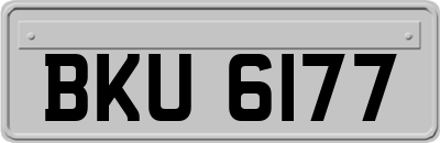 BKU6177