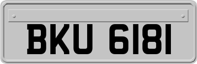 BKU6181