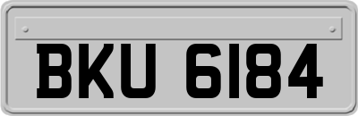 BKU6184