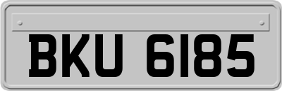 BKU6185