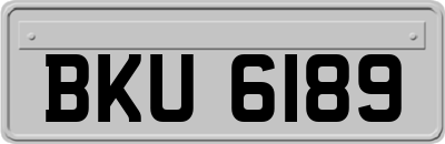 BKU6189