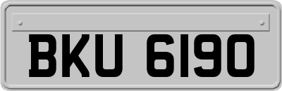BKU6190