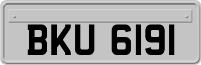 BKU6191
