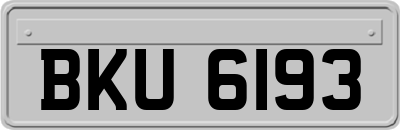 BKU6193
