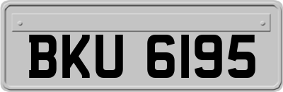 BKU6195