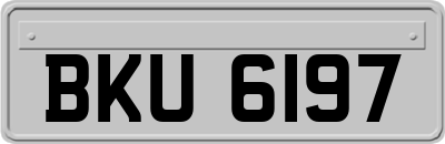 BKU6197