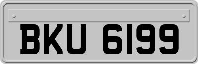 BKU6199