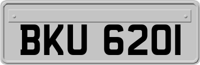 BKU6201