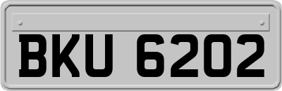 BKU6202
