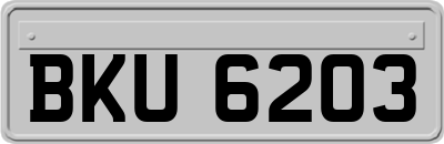 BKU6203