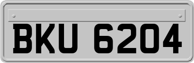 BKU6204