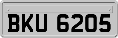 BKU6205