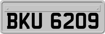 BKU6209