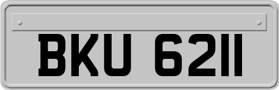 BKU6211