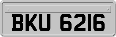 BKU6216