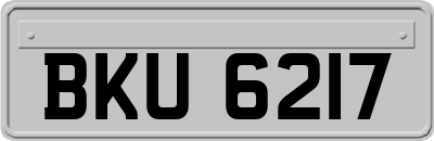 BKU6217