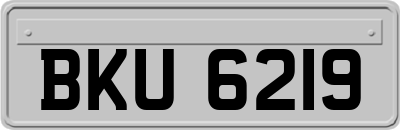 BKU6219