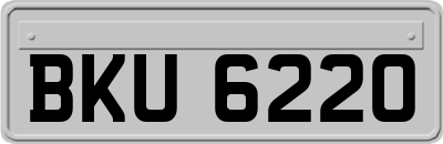 BKU6220