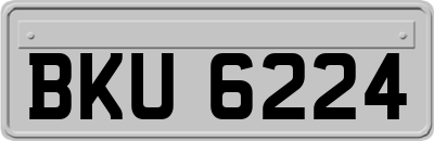 BKU6224