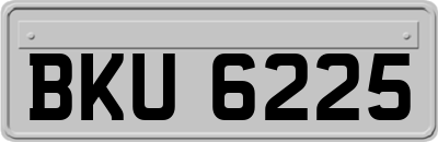BKU6225