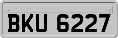BKU6227