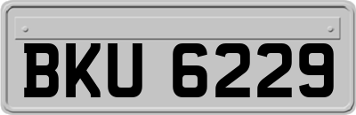BKU6229