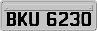 BKU6230